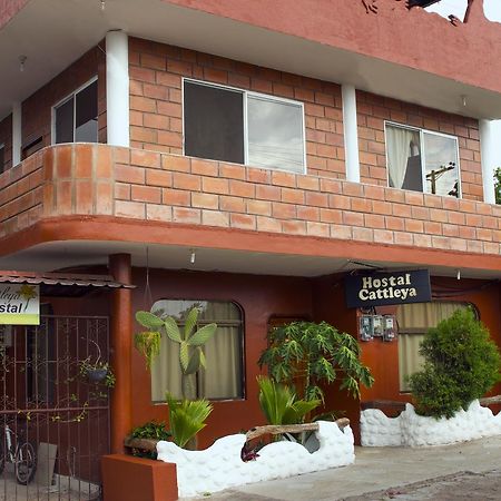 Hostal Cattleya Puerto Baquerizo Moreno Exterior foto